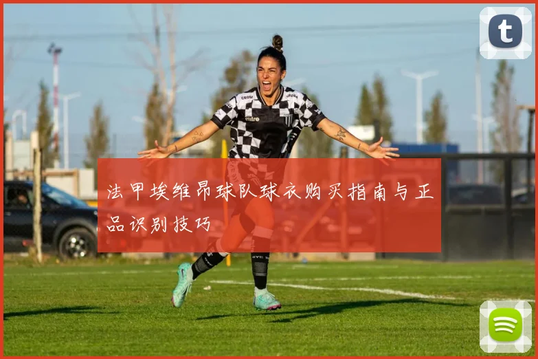 法甲埃维昂球队球衣购买指南与正品识别技巧