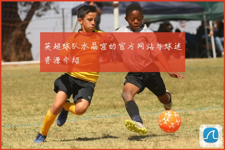 英超球队水晶宫的官方网站与球迷资源介绍