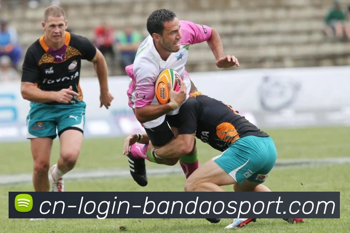 半岛体育平台生态图