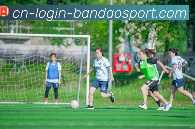 半岛体育APP 封面图